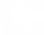 skoda_logo_250_w