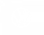 vw_logo-small_250_w