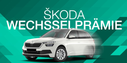 Marnet - Skoda AE-Kampagne Header