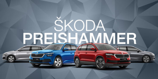 Marnet - Skoda AE-Kampagne Header